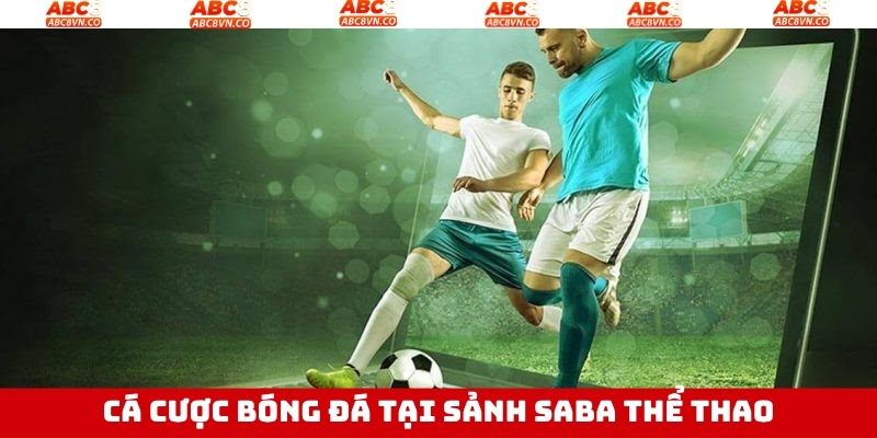 Cá độ bóng đá cùng sảnh SABA thể thao