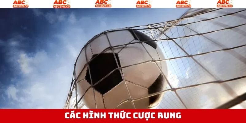 Thể loại cược rung hấp dẫn cho hội viên ở ABC8