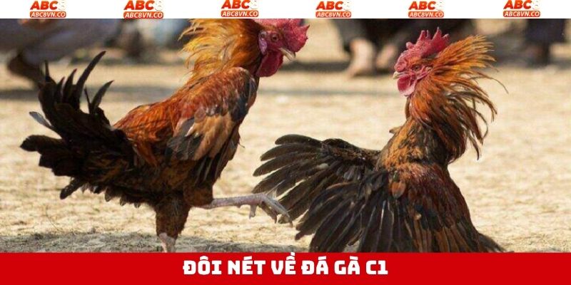 Tìm hiểu thông tin tổng quan đá gà C1 