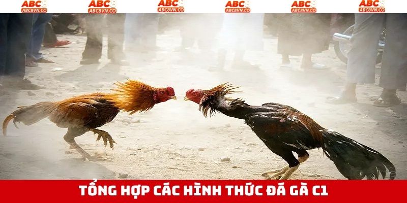 Các hình thức đá gà cực phổ biến và ưa chuộng nhất hiện nay 