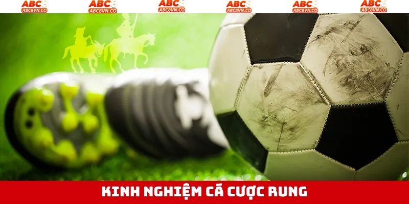 Bí quyết chọn cược rung thắng khủng từ cao thủ
