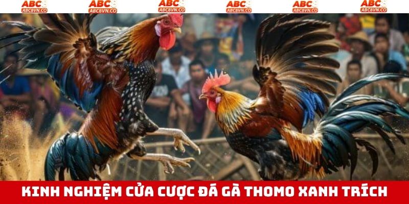 Chia sẻ kinh nghiệm chăm sóc gà xanh trích