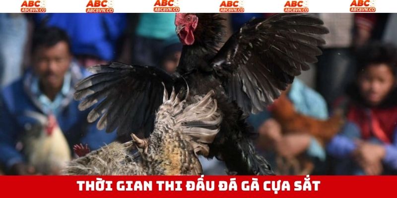 Thời gian diễn ra chọi kê cựa sắt